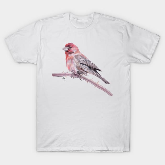 House Finch Watercolor T-Shirt by ampomata